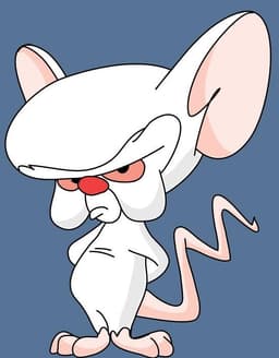Brain mouse